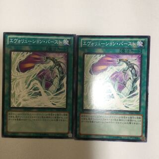 エヴォリューション・バースト　２枚