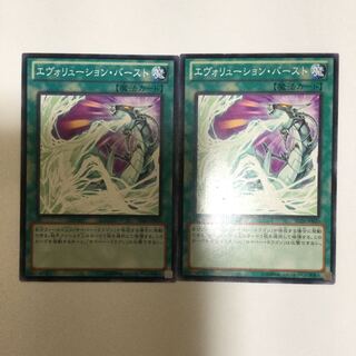 エヴォリューション・バースト　２枚