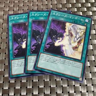 【即日発送】エクシーズインポート3枚セット