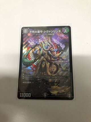 不死の墓守 シヴァンリンネ