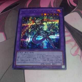 Dynorphia kentoregina Secret Rare
