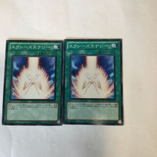 エクシーズエナジー　２枚