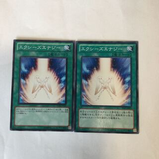 エクシーズエナジー　２枚