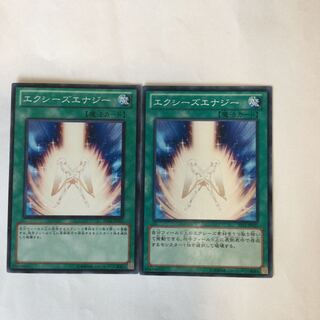 エクシーズエナジー　２枚