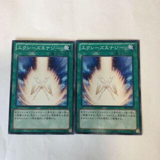 エクシーズエナジー　２枚