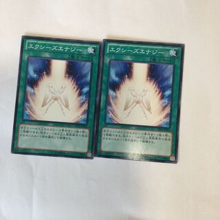 エクシーズエナジー　２枚