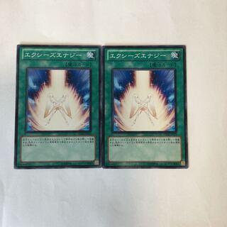 エクシーズエナジー　２枚