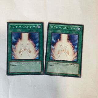 エクシーズエナジー　２枚