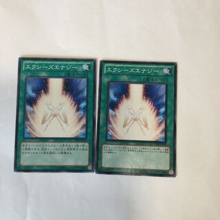 エクシーズエナジー　２枚