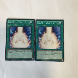 エクシーズエナジー　２枚