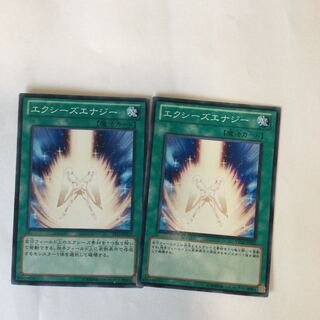 エクシーズエナジー　２枚