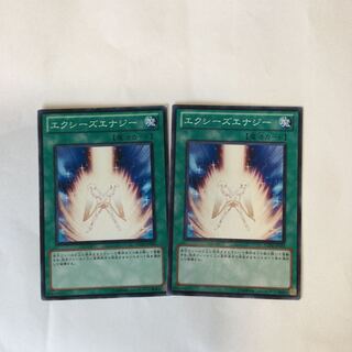 エクシーズエナジー　２枚