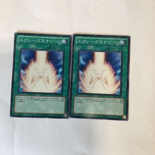 エクシーズエナジー　２枚