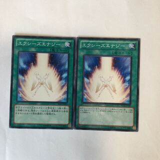 エクシーズエナジー　２枚