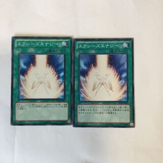 エクシーズエナジー　２枚