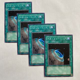 テラ・フォーミング ノーマル4枚