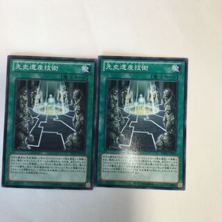 先史遺産技術　２枚