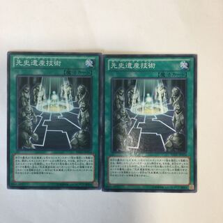 先史遺産技術　２枚