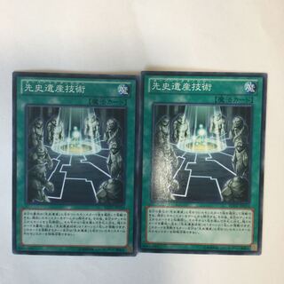 先史遺産技術　２枚