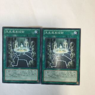 先史遺産技術　２枚