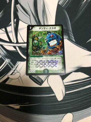 ダンディ・ナスオ C-foil