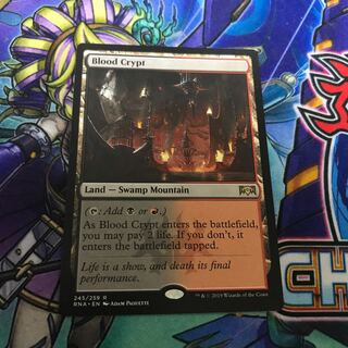 mtg 血の墓所 英語版 1枚