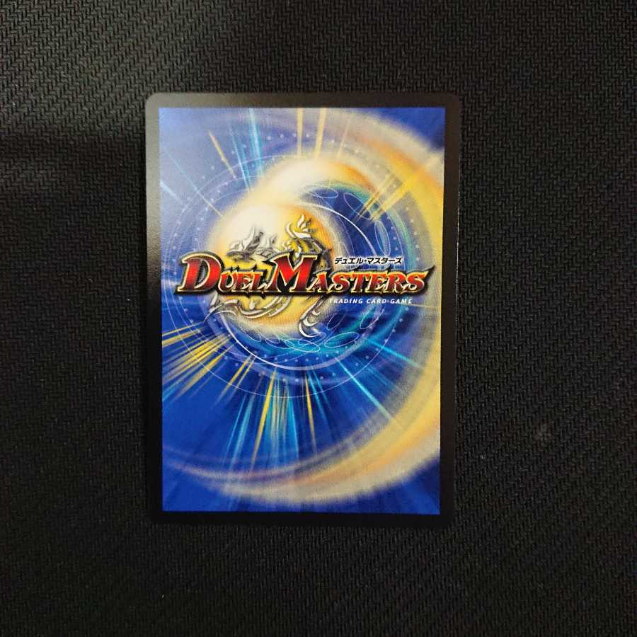 共鳴の精霊龍 サザン・ルネッサンス