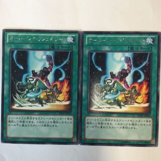 オーバーレイ・リジェネレート　２枚