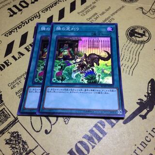 隣の芝刈り【SR】