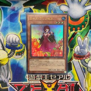 ローズ・プリンセス ウルトラレア