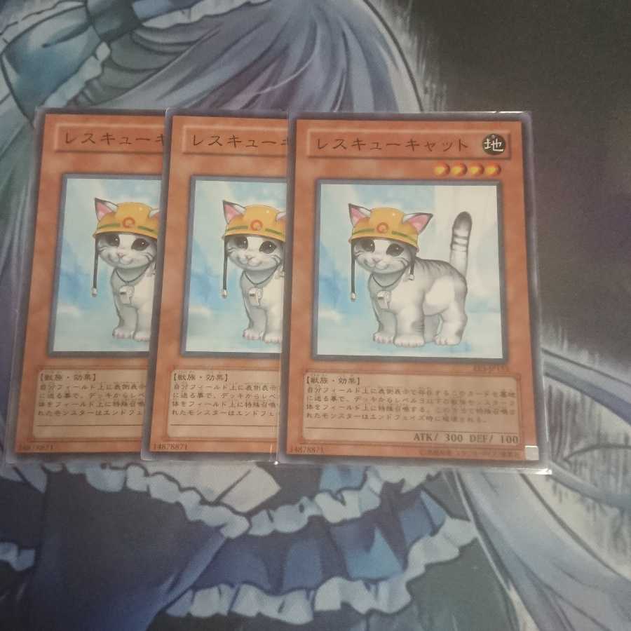 レスキューキャット ノーマル