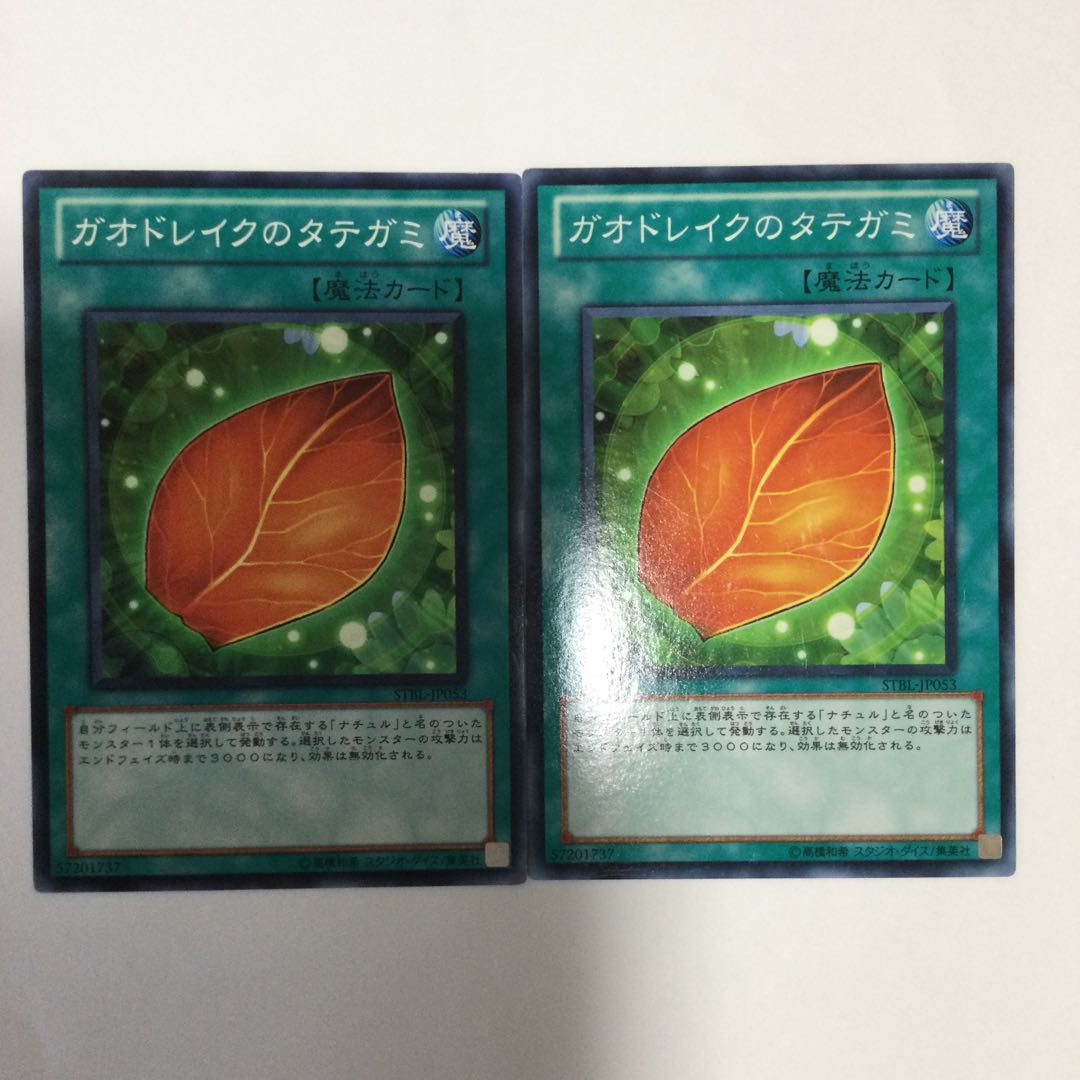 ガオドレイクのタテガミ　２枚