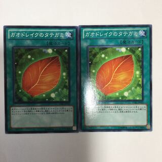 ガオドレイクのタテガミ　２枚