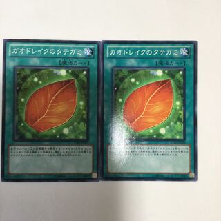 ガオドレイクのタテガミ　２枚