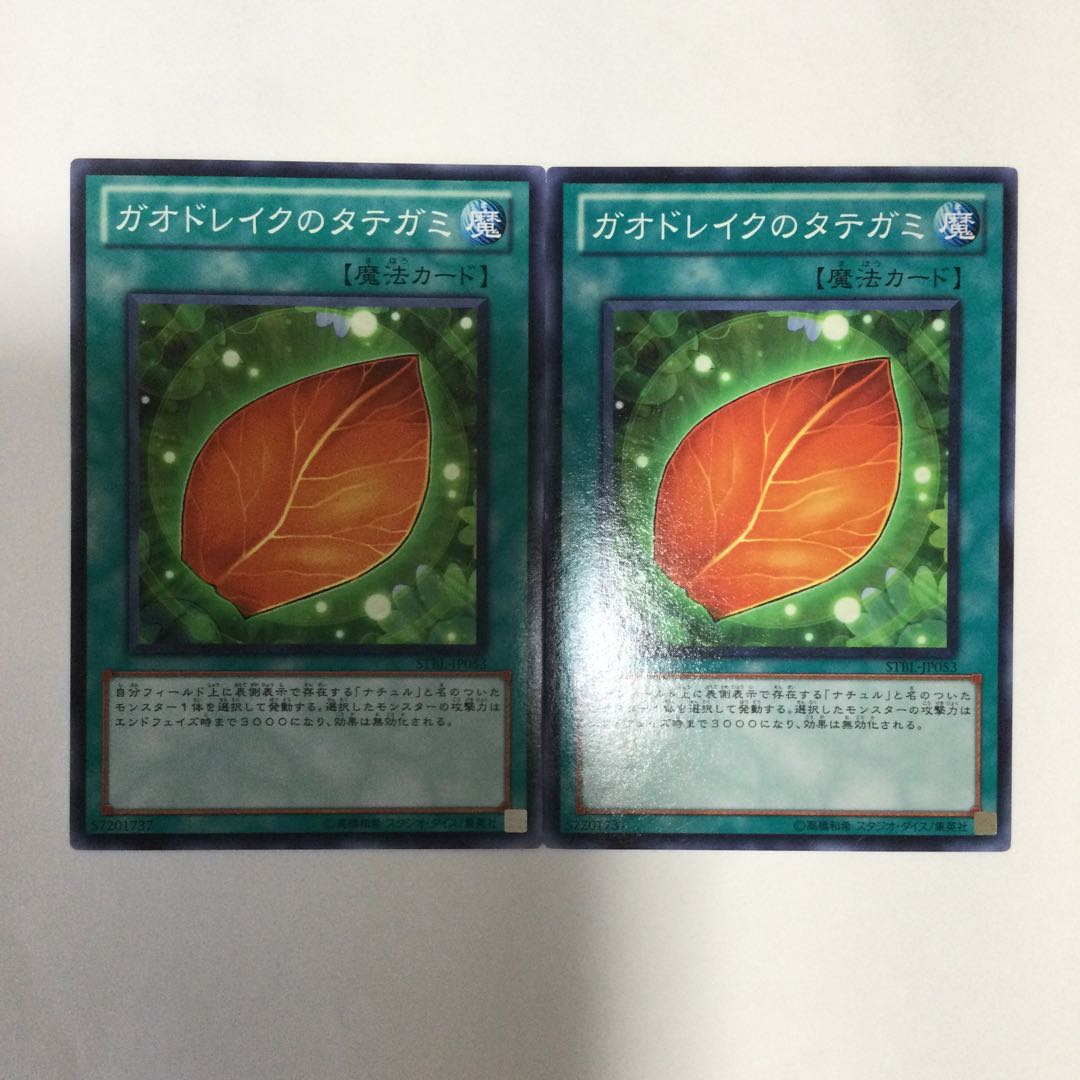 ガオドレイクのタテガミ 2枚