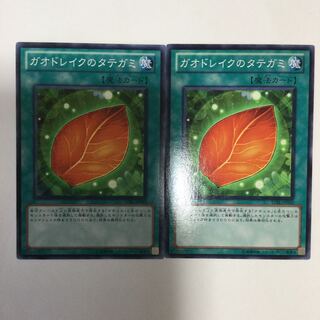 ガオドレイクのタテガミ　２枚