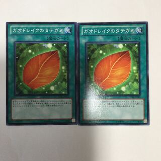 ガオドレイクのタテガミ　２枚