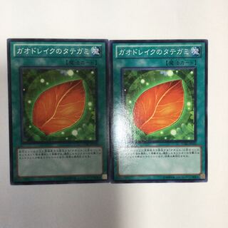 ガオドレイクのタテガミ　２枚