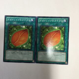 ガオドレイクのタテガミ　２枚