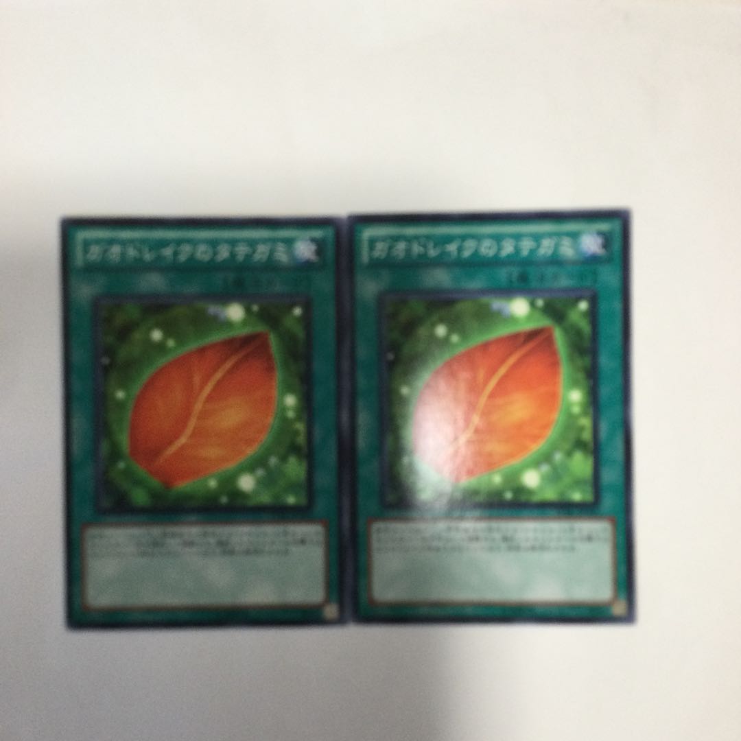 ガオドレイクのタテガミ 2枚