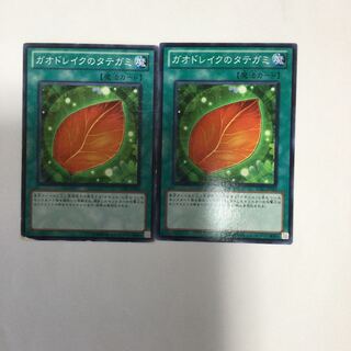 ガオドレイクのタテガミ　２枚