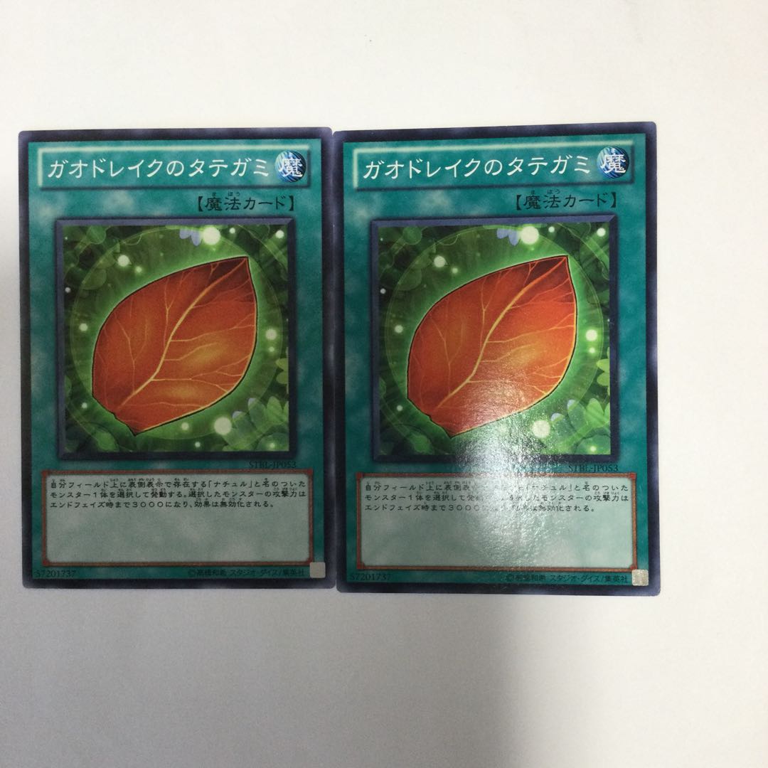 ガオドレイクのタテガミ 2枚