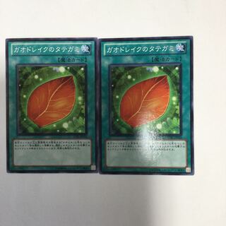 ガオドレイクのタテガミ　２枚