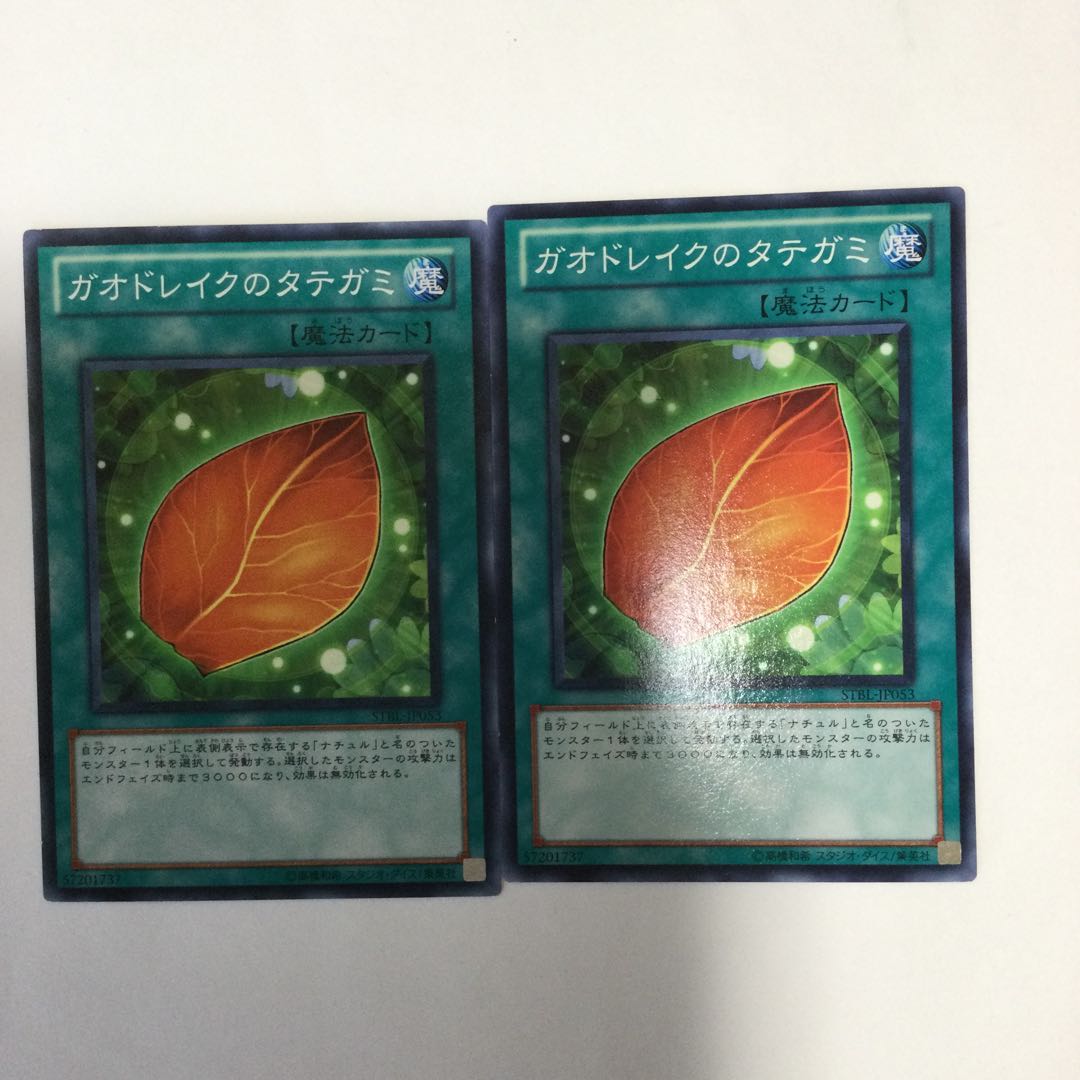 ガオドレイクのタテガミ 2枚