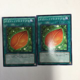 ガオドレイクのタテガミ　２枚