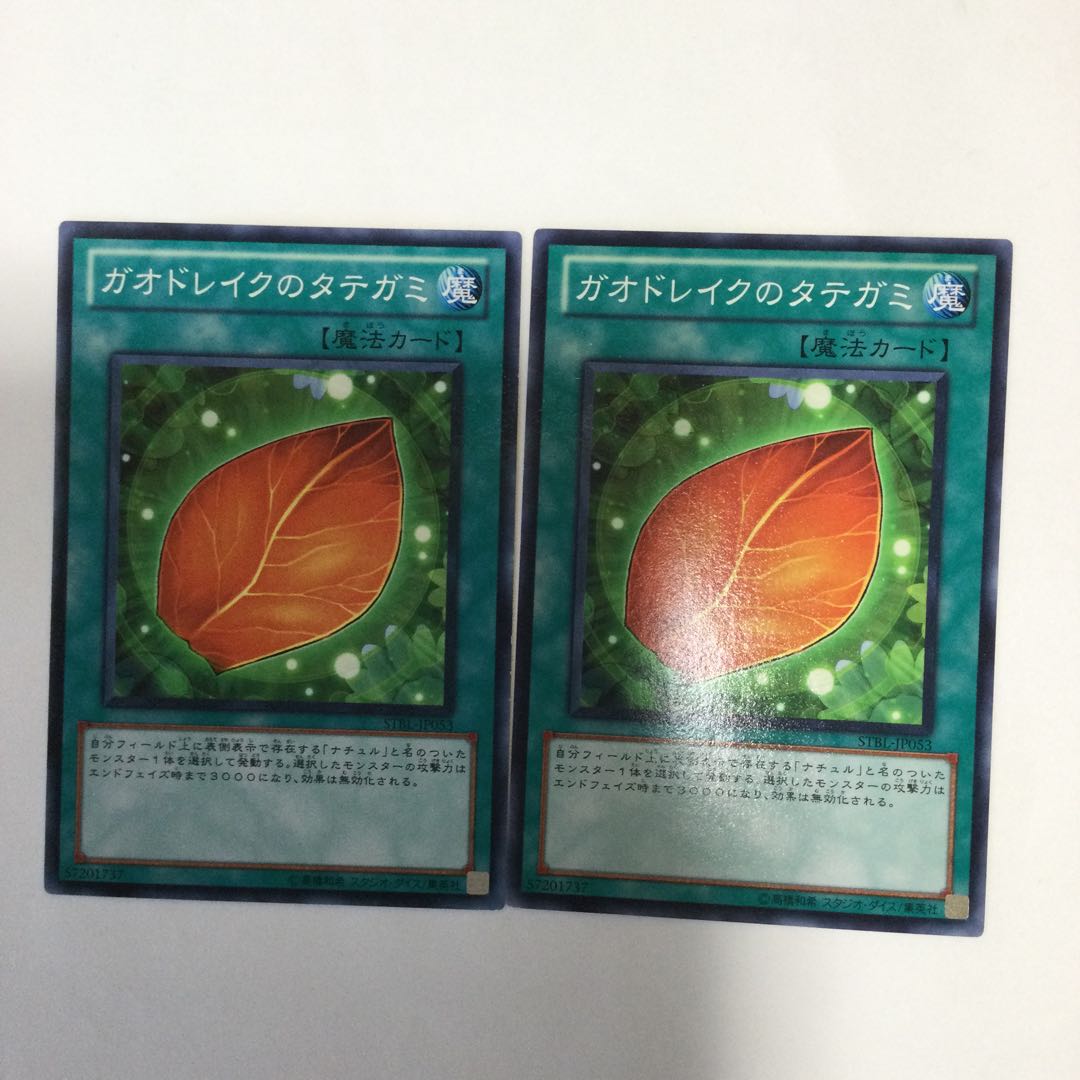 ガオドレイクのタテガミ　２枚