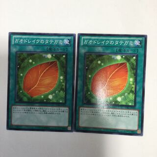 ガオドレイクのタテガミ　２枚