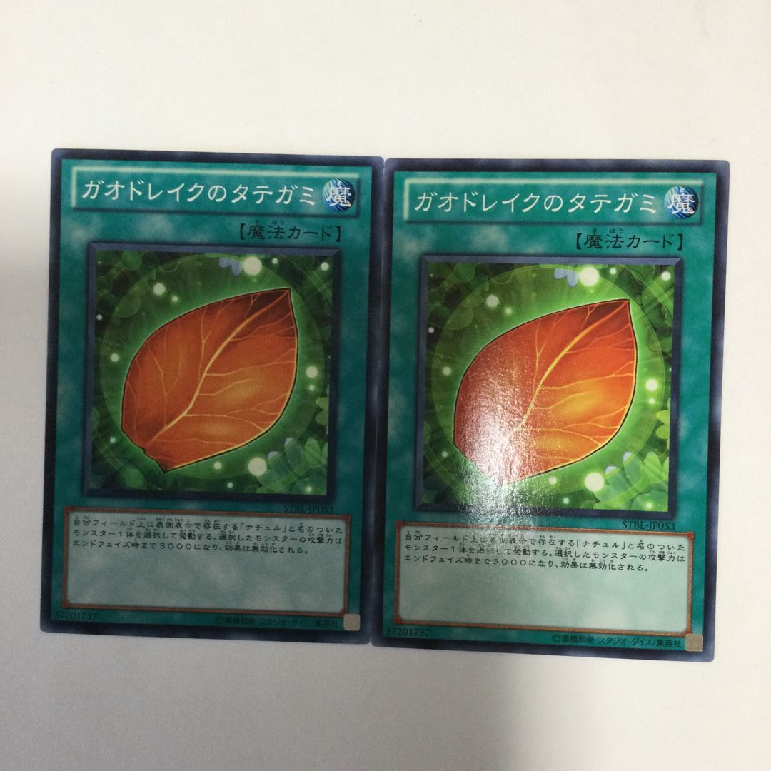 ガオドレイクのタテガミ　２枚