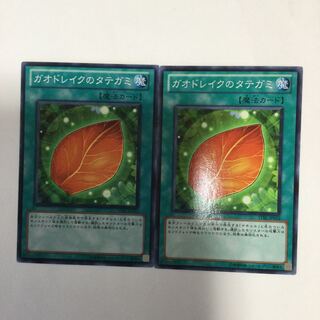 ガオドレイクのタテガミ　２枚