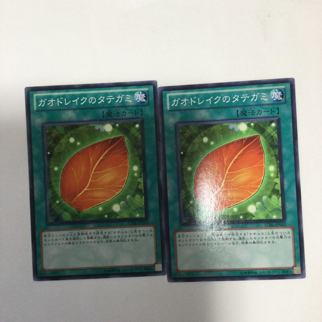 ガオドレイクのタテガミ　２枚